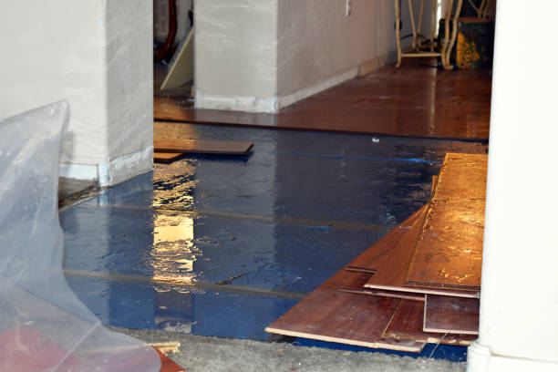 Professional Emergency Water Damage Restoration technician working in Essex, IL